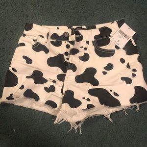 Cow Short Shorts
